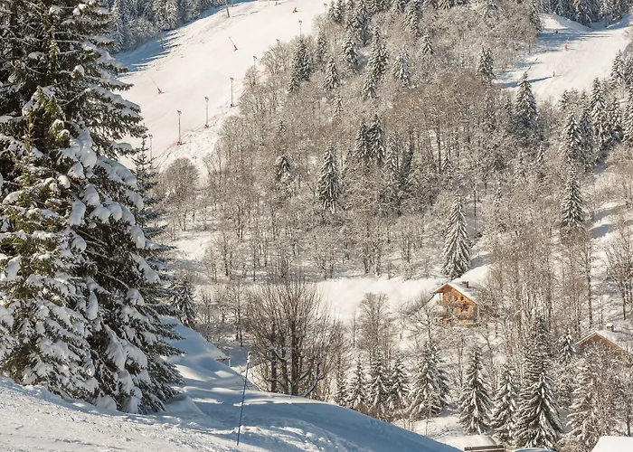 公寓式酒店 玛伊瓦双子座公寓酒店